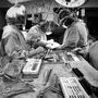 Andrew Merola, MD