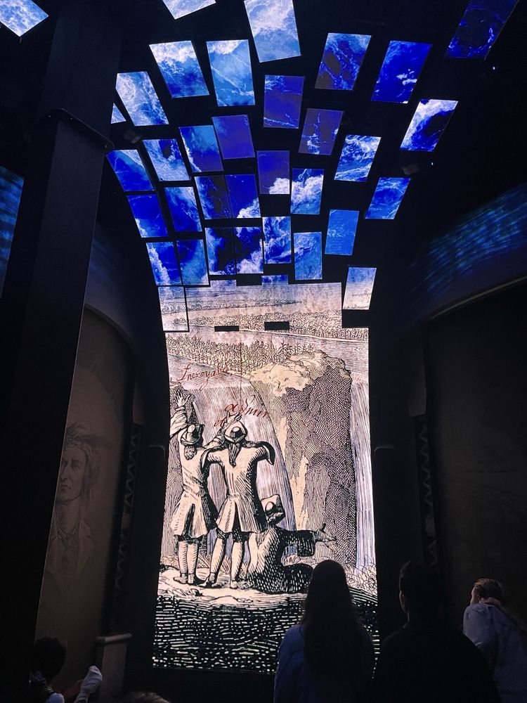 Niagara Takes Flight