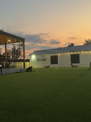 BARk House Social by null