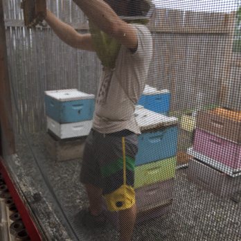 Big Island Bees - Honey Near Me - Captain Cook, Hawaii
