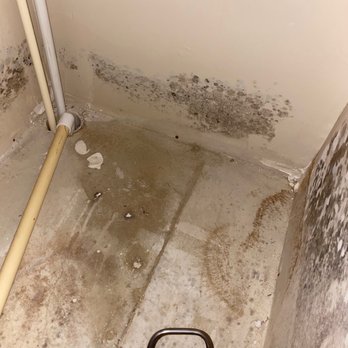 Alight Baton Rouge - More mold - University Housing Near Me - Baton Rouge, Louisiana Alight Baton Rouge - More mold - University Housing Near Me - Baton Rouge, Louisiana