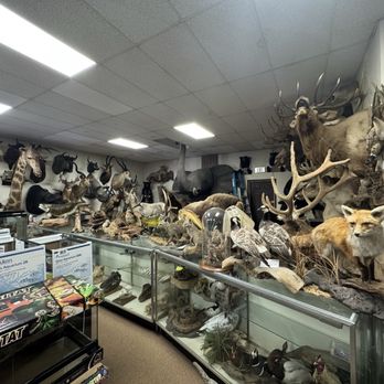 Tom's Tropicals - Taxidermy section - Pet Stores Near Me - Nottingham, Maryland Tom's Tropicals - Taxidermy section - Pet Stores Near Me - Nottingham, Maryland