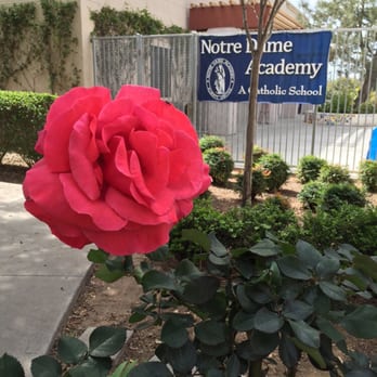 Notre Dame Academy - Religious Schools Near Me - San Diego, California Notre Dame Academy - Religious Schools Near Me - San Diego, California