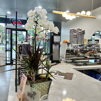 Caffe In Coffee Roasters - Bar area - Coffee & Tea Near Me - Tustin, California Caffe In Coffee Roasters - Bar area - Coffee & Tea Near Me - Tustin, California