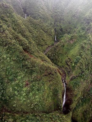 Blue Hawaiian Helicopters by null