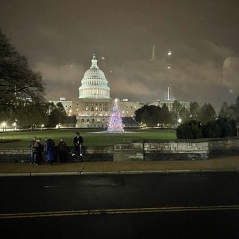 Sam & Sal Tours - Capitol Hill and the capitol tree - Historical Tours Near Me - Washington, DC, District of Columbia
