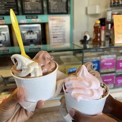 Paradise Yogurt - Strawberry chocolate and plain tart