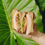 Celis Juice Bar - Dixie