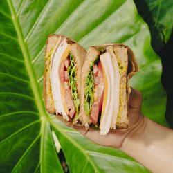 Celis Juice Bar - Dixie