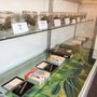 Photo of Emerald City Dispensary