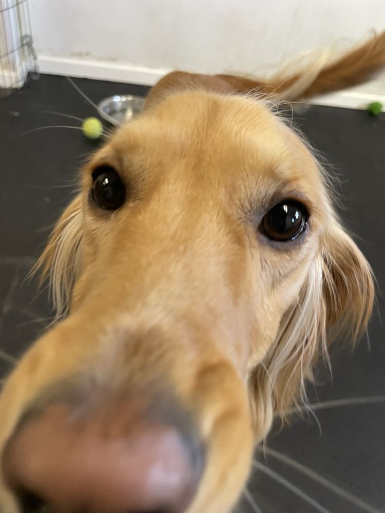 o Jupiter Florida Real Estate For Sale