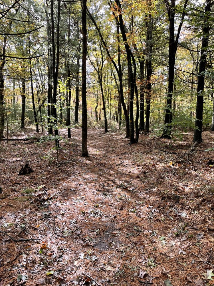 FRENCHTOWN PARK TRAIL Updated May 2024 62 Photos & 11 Reviews