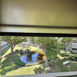 Lexi Lynn Skin - Sugaring Studio - View from her treatment room