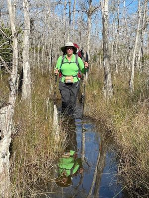 Big Cypress National Preserve by null