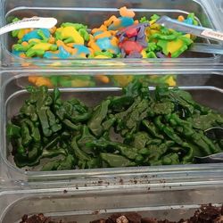 Spoons Frozen Yogurt - Gummy soldiers and frogs