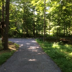 Golden Manor Motel - Nature trail behind the motel