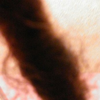 Gifted Hair Clinic - Hair Salons Near Me - Bronx, New York Gifted Hair Clinic - Hair Salons Near Me - Bronx, New York