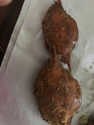 Jac's Crabs & Seafood by null