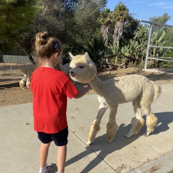 Dirty Bird Ranch - Petting Zoos Near Me