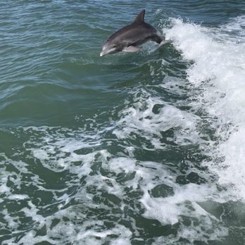 Mega Bite - Boating Near Me - Clearwater, Florida
