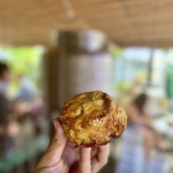 Morning Glass Coffee + Café - In-house made Lilikoi Honey Butter Biscuit! $5.50
