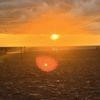 Cedar Cove Resort & Cottages gift card