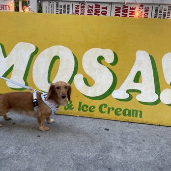 MOSA - Ice Cream & Frozen Yogurt Near Me - Honolulu, Hawaii