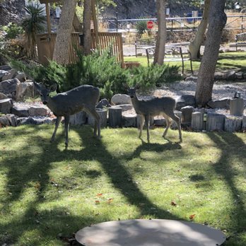 Ramsey Canyon Inn B & B - Love the wildlife - Bed & Breakfast Near Me - Hereford, Arizona Ramsey Canyon Inn B & B - Love the wildlife - Bed & Breakfast Near Me - Hereford, Arizona