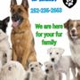 Photo of Shampoochie Pet Salon