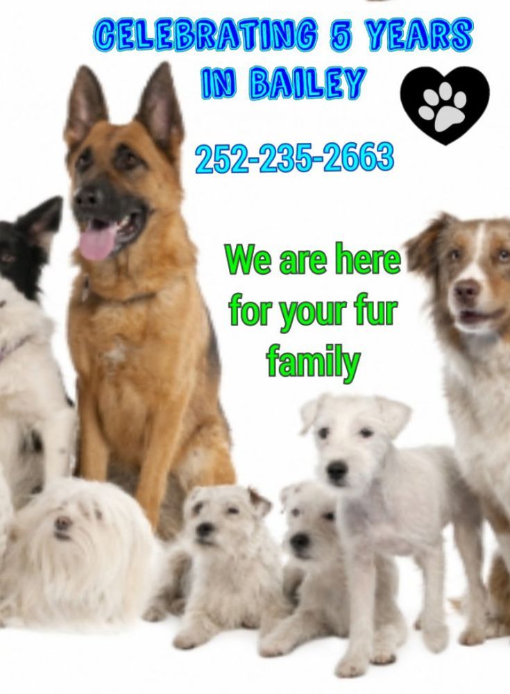 Shampoochie Pet Salon Image