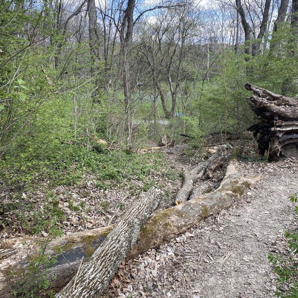 Lincoln Woods Park - Parks Near Me - Florence, Kentucky