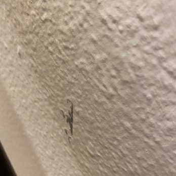 Anthem Handyman Services - Handyman Near Me