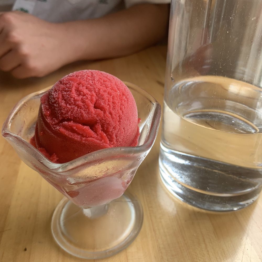 Vegan strawberry rhubarb sorbet