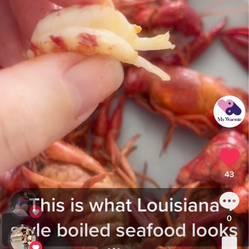 H-E-B - Crawfish boil. Watch it here: https://youtube.com/shorts/53YB8DGtFwc?feature=share - Grocery Near Me - Friendswood, Texas H-E-B - Crawfish boil. Watch it here: https://youtube.com/shorts/53YB8DGtFwc?feature=share - Grocery Near Me - Friendswood, Texas
