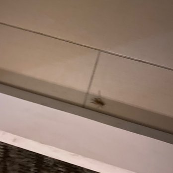 SpringHill Suites by Marriott Las Cruces - Bathroom cricket. - Hotels Near Me - Las Cruces, New Mexico SpringHill Suites by Marriott Las Cruces - Bathroom cricket. - Hotels Near Me - Las Cruces, New Mexico