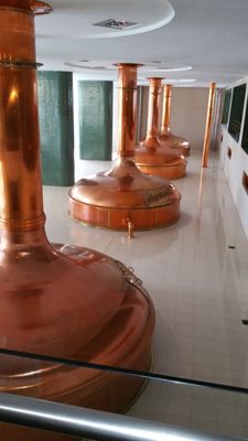 Pilsner Urquell Brewery by null