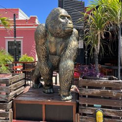 Monkey Business