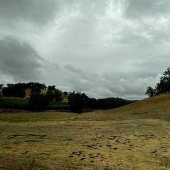 Grapeline Wine Tours - Wine Tours Near Me - Paso Robles, California