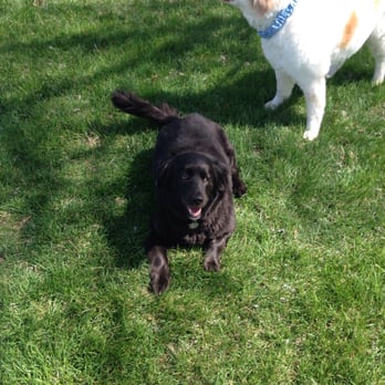 Grooming In Style - Pet Groomers Near Me Grooming In Style - Pet Groomers Near Me