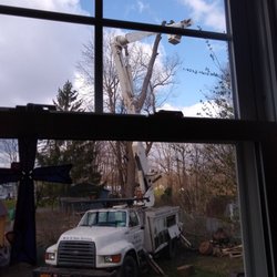 M & S Tree/Dave Shannon - This is thru my kitchen window while they were in the bucket.