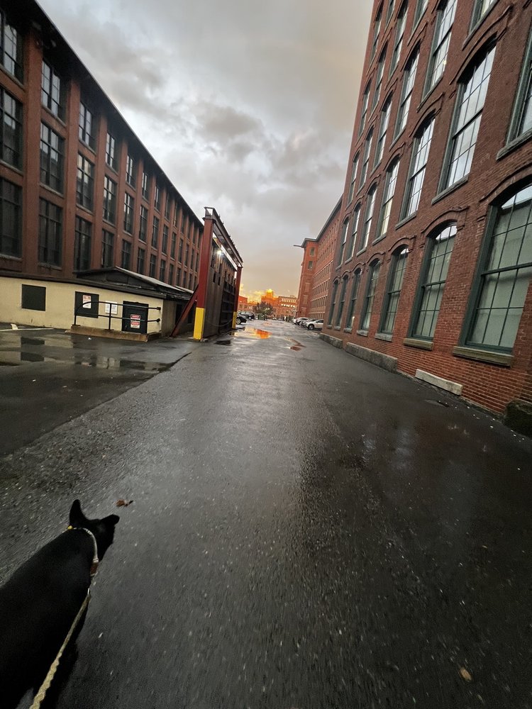 JACKSON STREET LOFTS Updated September 2024 52 Photos & 29 Reviews