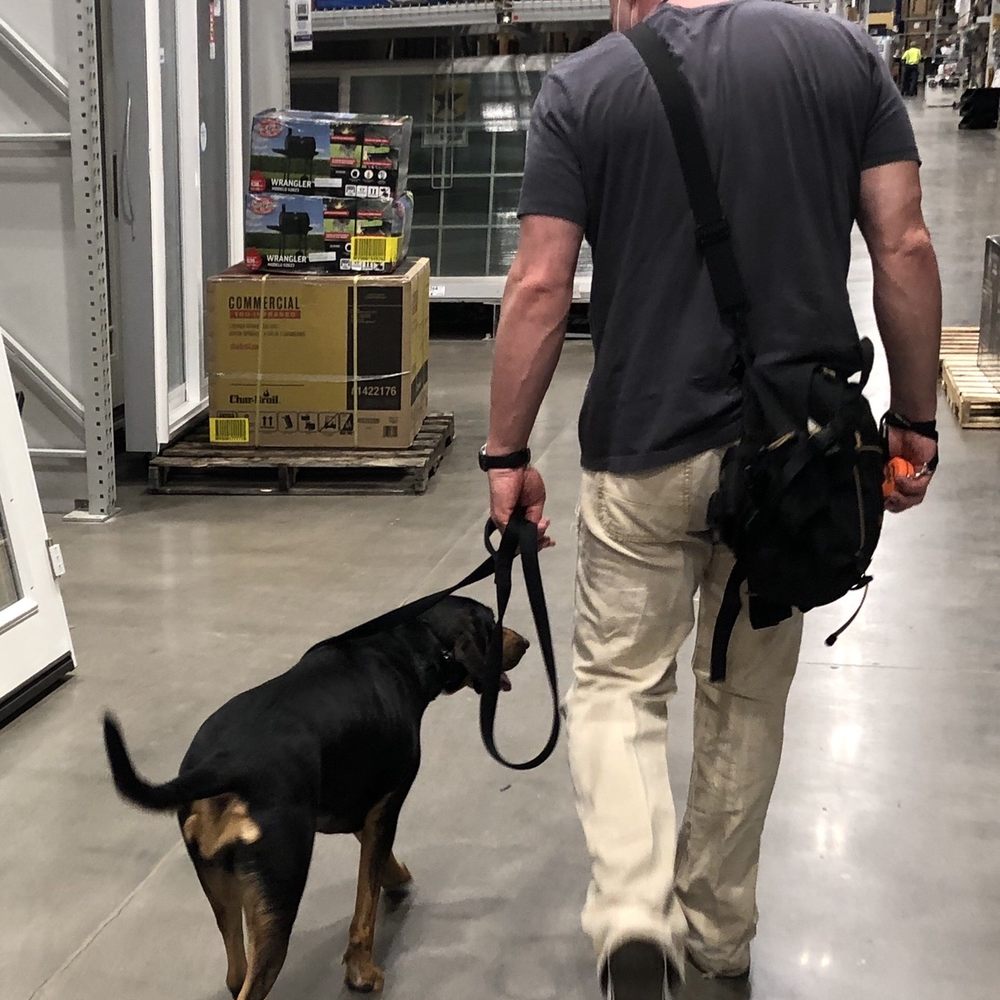 Off Leash K9 Training Phoenix - Murphy-Lou showing me where the lumber section is... - Pet Training Near Me - Peoria, Arizona Off Leash K9 Training Phoenix - Murphy-Lou showing me where the lumber section is... - Pet Training Near Me - Peoria, Arizona