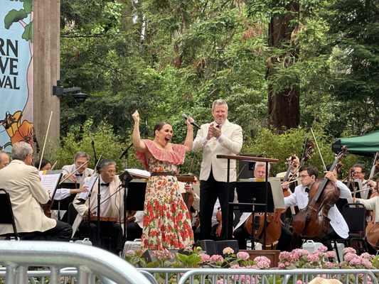 Stern Grove Festival by null