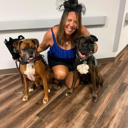 Holistic K9 Coaching - Therapy Dog Thursday