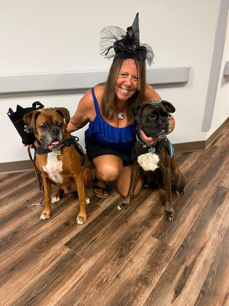 Holistic K9 Coaching Image