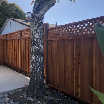 Arlandtree - a tree in a backyard - Tree Services Near Me Arlandtree - a tree in a backyard - Tree Services Near Me