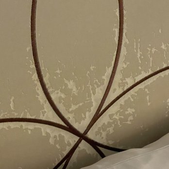 Hilton Baton Rouge Capitol Center - Headboard Peeling! - Hotels Near Me - Baton Rouge, Louisiana