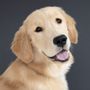 Photo of Lydia Baird Dog Training