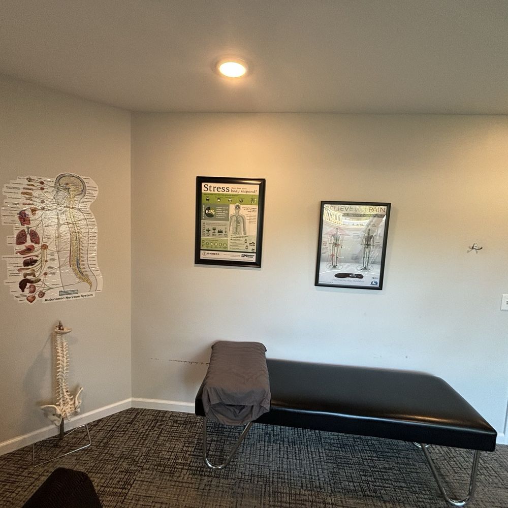 Donnell Chiropractic - Visual aids for us to better understand anatomy - Chiropractors Near Me - Kalamazoo, Michigan