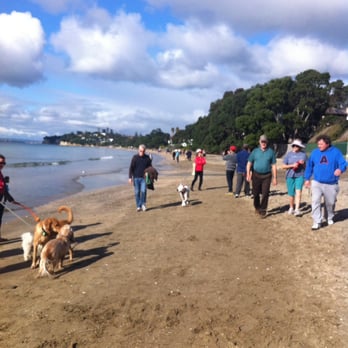 Takapuna Beach - Rush hour! - Beaches Near Me - Auckland, AUK Takapuna Beach - Rush hour! - Beaches Near Me - Auckland, AUK